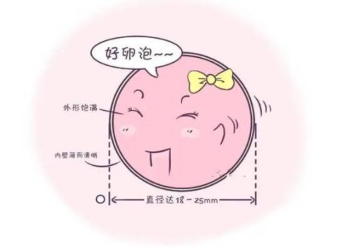 宫颈炎和宫颈糜烂可不是一码事，这点可要注意了